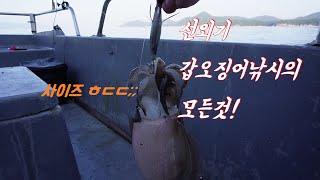 선외기 갑오징어낚시의 개꿀팁! 알아두면 피가되고 살이 됩니다! cuttle fish