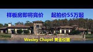 奥兰多坦帕房产｜坦帕买房｜Wesley Chapel 黄金位置｜好学区 ｜样板房竞价马上开始｜7/13-7/15｜起拍价近55万起，