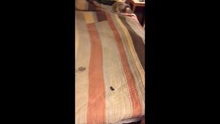 Minnow shit the bed and I lost my temper (disgrace).