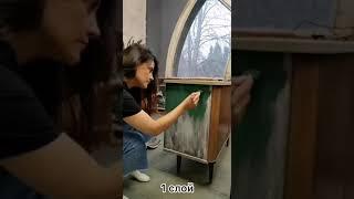Британский зеленый Mia