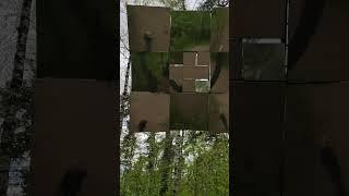 Современное искусство: жизнь квадрата