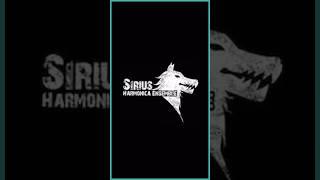 Sirius EnsembleHARMONICA FEN FESTIVAL 2024 #harmonica #musicfestival #berlin #hohnermusic