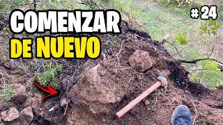 14 Días Sin AGUA!! Recupero el HUERTO después de la DANA Vlog #24 | La Huerta de Ivan