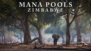 Africa's Eden: Mana Pools National Park