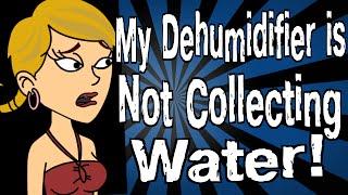 My Dehumidifier is Not Collecting Water!