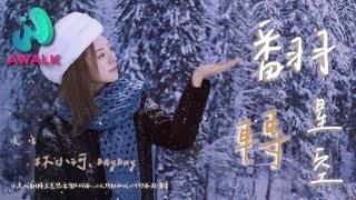 林小珂 / BayBoy - 翻转星空『你是我翻转星空想要留住的风，心之所动在我心中却风起云涌。』【动态歌词 | Pinyin Lyrics】【四月新歌】【AWALK MUSIC】