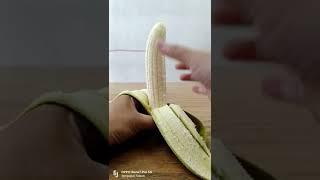 #best #pisang #fruits #biggest