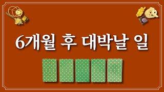 6개월 후 대박날 일⭐️1장을 선택 후 6개월 안에 대박날 일 확인하세요