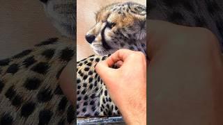 Painting cat whiskers. How to with a single hair #art #cheetah #animals wildlife artist James Corwin