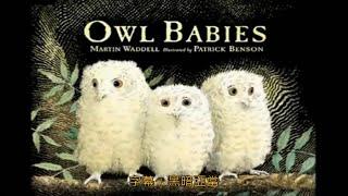 Owl babies 1080P 小貓頭鷹 中英文字幕