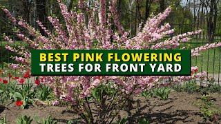 6 Pink Flowering Trees You Can Grow In Your Yard 