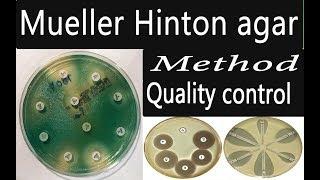 preparation of culture media:Mueller Hinton agar (easy method)