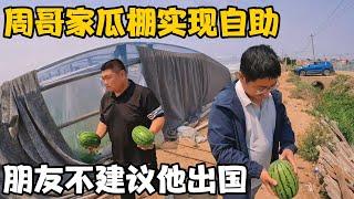 在周哥家瓜棚实现“自助”，吃爽了，他朋友说出不建议他出国原因【卓越穷游记】
