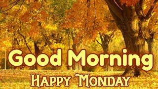 Good morning monday photos  !! Good morning monday #good morning