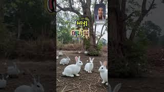 ผญาการทำบุญ  #ผญาจารย์ครูพงษ์  #ผญา #ทำบุญ