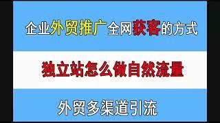 跨境独立站如何做自然流量？外贸多渠道获客引流教学！#独立站 #独立站推广