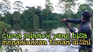 casting toman di danau air hitam saat banjir // casting umpan minnow