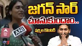 YS Sharmila Counter to YS Jagan Today Press Meet Comments | YS Vijayamma | YS Bharathi | TV5 News