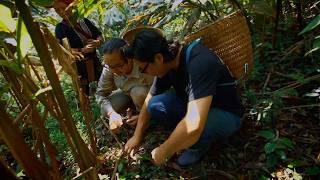 Foraging and Cooking With Rare Jungle Herbs in Sapa | Ep10.2