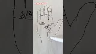 这条纹路可以看出人生转折，和事业变迁