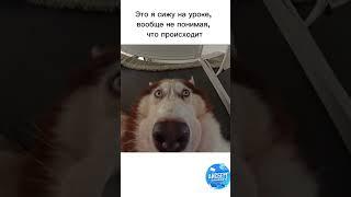 Сливы курсов тут egeice.ru. Айсберг- твой помощник для подготовки к ЕГЭ #егэ #слив #11класс