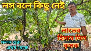 লস বলে কিছু নেই লাভের হিসাব দিল কৃষক Jackfruit Garden overview