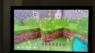 Timothy's castle assignment