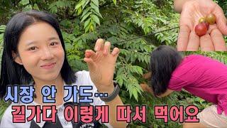 (길거리음식) 한끼정도는 길에서 해결가능해요 street food