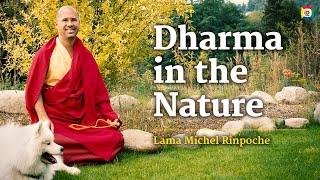 4/6 Dharma in the Nature with Lama Michel Rinpoche