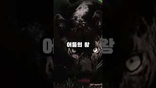 블랙 재규어 정보 (black jaguar info.)