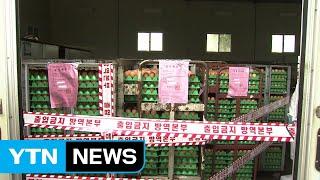 살충제 달걀' 45곳...전체 생산량의 4% 차지 / YTN