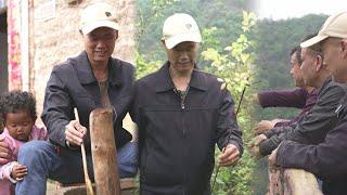 The 3 brothers went up the mountain again to gather ingredients for the black rice zongzi