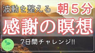 聞き流すだけでもOK！7日間トライアル　感謝の瞑想＆アファメーション　初心者さん向け　波動を高める　朝の瞑想　マインドフルネス呼吸付　引き寄せの法則　開運＆奇跡が起こる