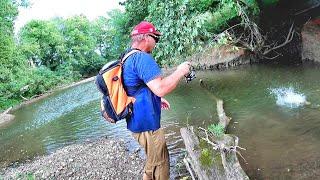 How To Locate and Catch LOADS Of Fish In ANY Creek!!!