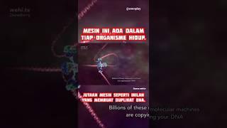 Part 1. Mesin Duplikat DNA #short #shortsvideo #shortsterbaru #dna #molekular #asmr #wmnplay