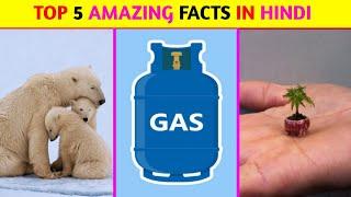 Top 5 Amazing Facts In Hindi | Mind Blowing Facts | Random Facts | Facts In Hindi | #shorts