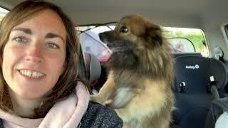 #7 Vlog met de omgeving van Het echte Spanje