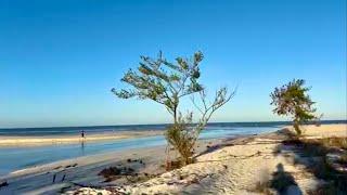 Robb’s Saturday Morning Beach Walk in North Naples, Florida (11/16/24)