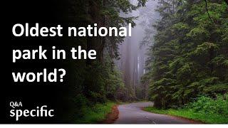 What is the oldest national park in the world?