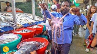 Biggest Sea FIsh Market In Delhi l Delhi Street Food