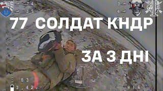 ССО знищують війська КНДР / Ukrainian SOF destroys DPRK soldiers