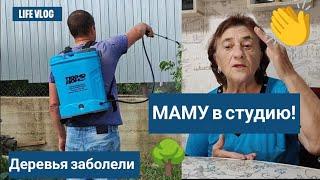 Влог# 486 Влоги с ЮГА МАМУ в студию!  Деревья ЗАБОЛЕЛИ 