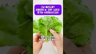 그냥 샐러드용? 로메인이 눈·피부·뇌까지 챙기는 슈퍼채소라고요! #로메인 #로메인효능 #슈퍼푸드