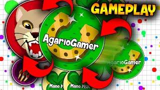 Lagar.io Gameplay ft M5k Voz Ativa!!!