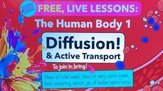 Home Ed: Human Body 1: Diffusion and Active Transport