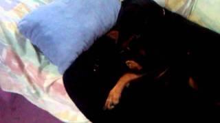 VID-20110912-00000