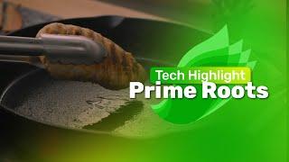 Prime Roots - Tech Highlight