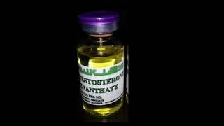 - TESTOSTERONE ENANTHATE - Binaural Steroids Effect (Anabolic Effect, Increased Strength, Libido)