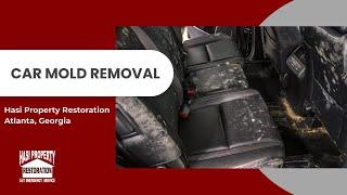 Car Mold Removal - Hasi Property Restoration - Atlanta Georgia