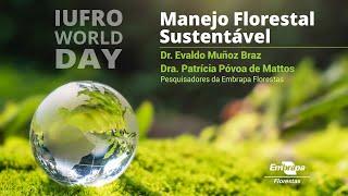 Manejo Florestal Sustentável - Sustainable Forest Management